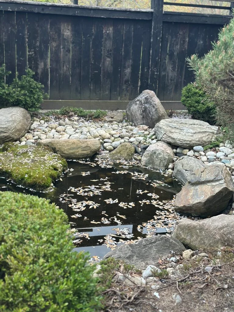 japanese garden