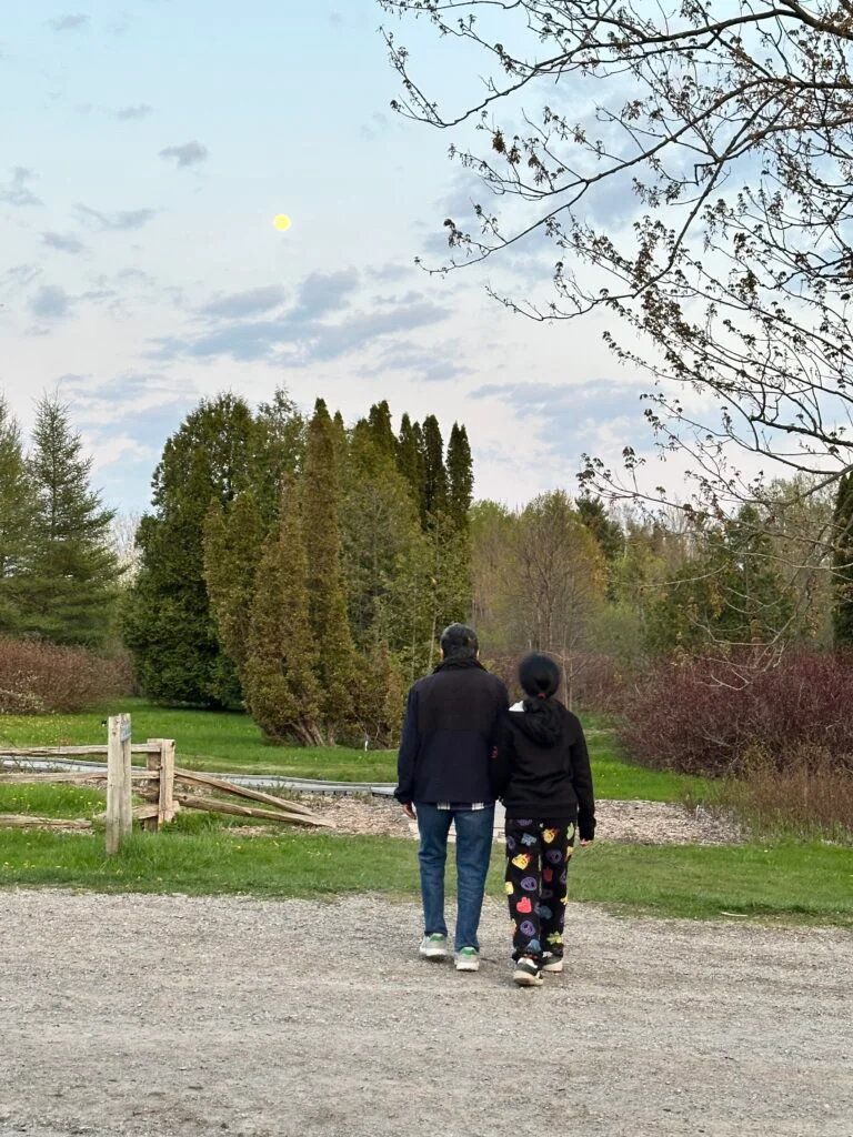 walk in the garden